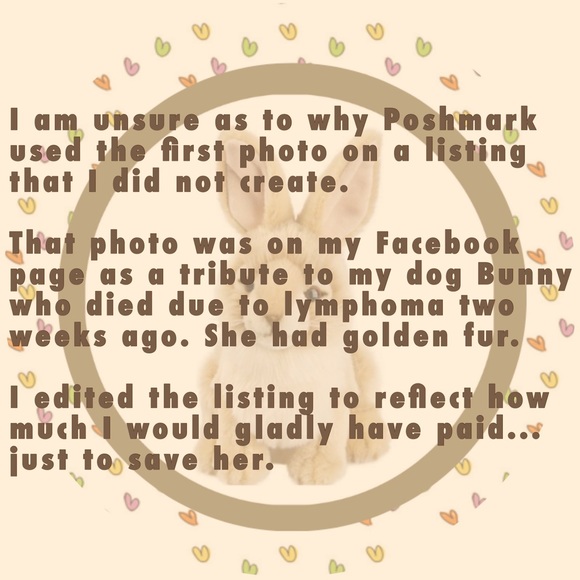 Meet your Posher, Louise - Picture 2 of 2